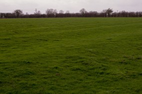 Stony_Stratford_Ridge_&_Furrow_Field